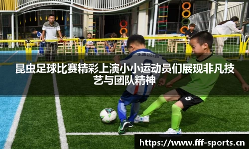 fff体育官网
