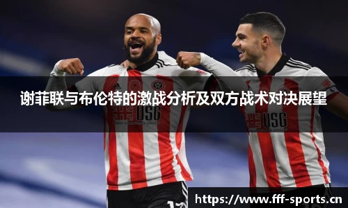 fff体育官方网站